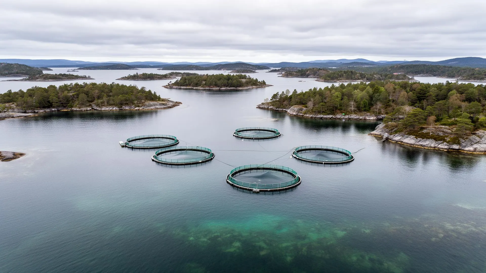 Fish farming pens in the Åland archipelago
